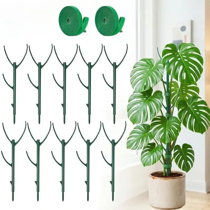 6 piquets de support pour plantes Monstera