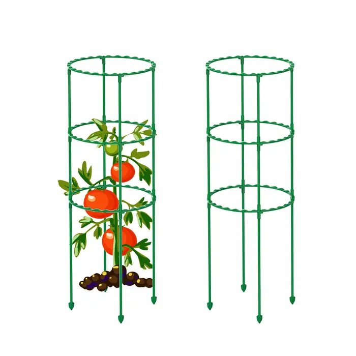Support de vigne grimpante pour plantes en pot, cadre de Support en acier revêtu de plastique pour f