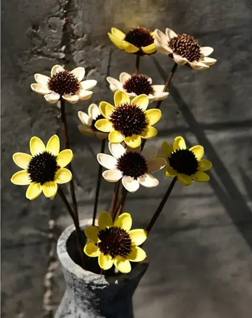 Tête de fleur hybride Rudbeckia séchée naturelle
