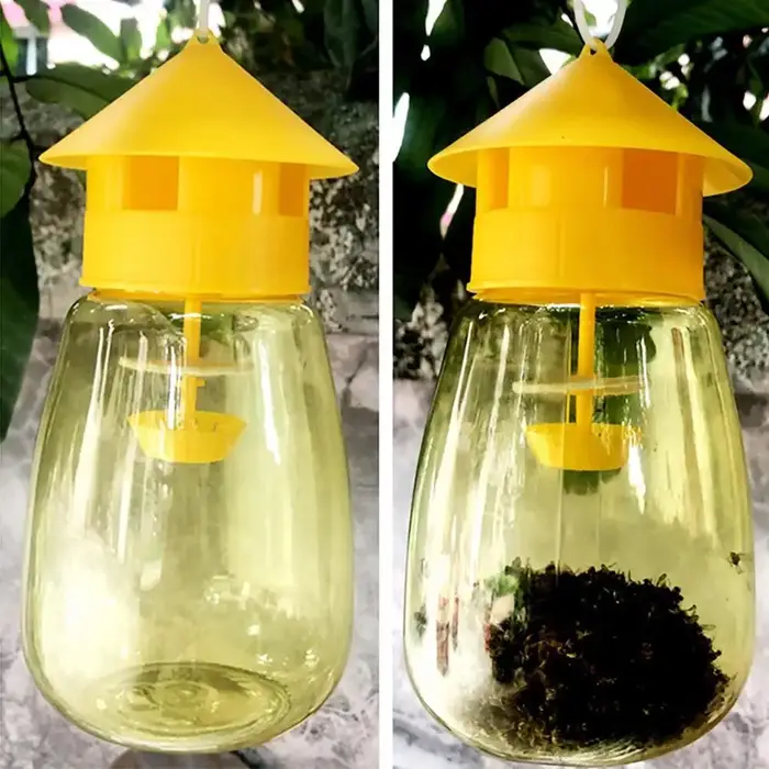 Piège à mouches des fruits jaunes