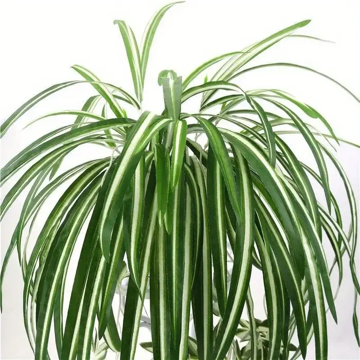 Plantes artificielles suspendues au mur