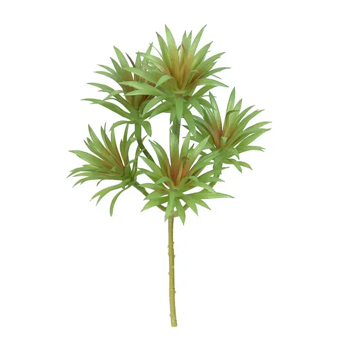 Simulation de plantes vertes du désert tropicaux