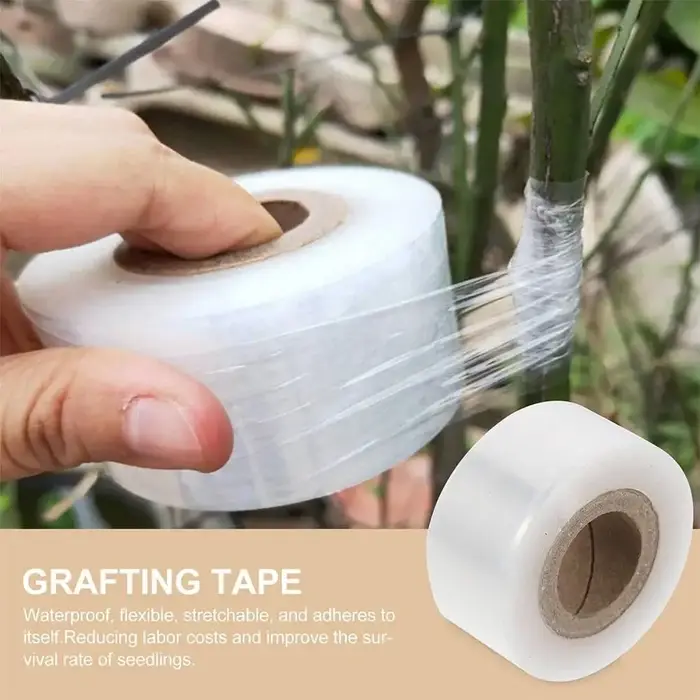 Ruban de greffage auto-adhésif extensible pour arbres fruitiers