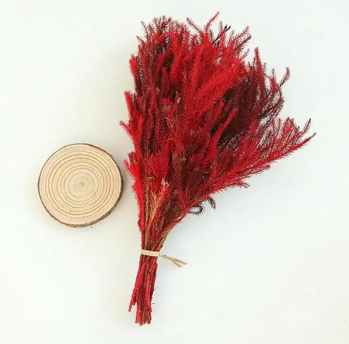 Lot de 2 branches de fleurs préservées | Branche de fleur Lycopodium japonicum pour Arrangement floral