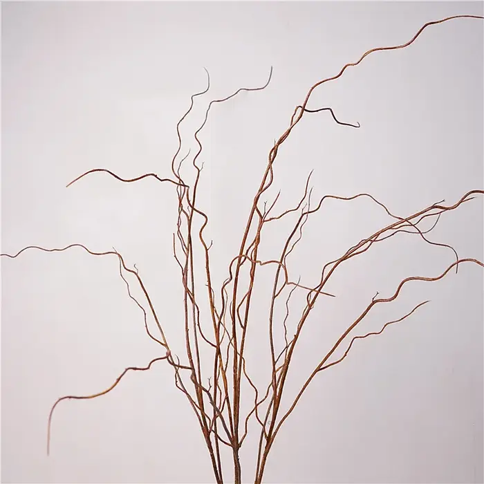 Simulation de Branches vaccées