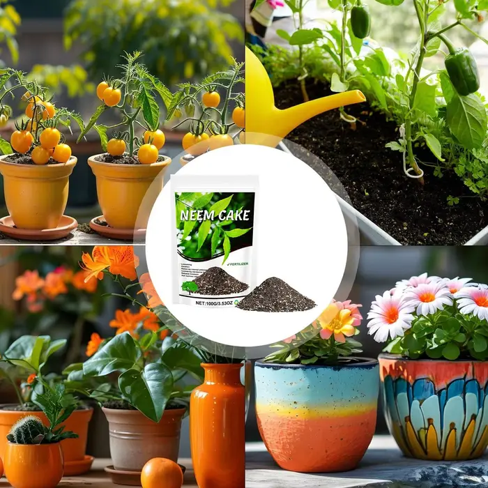 Mélange de terreau organique pour plantes d'intérieur et d'extérieur