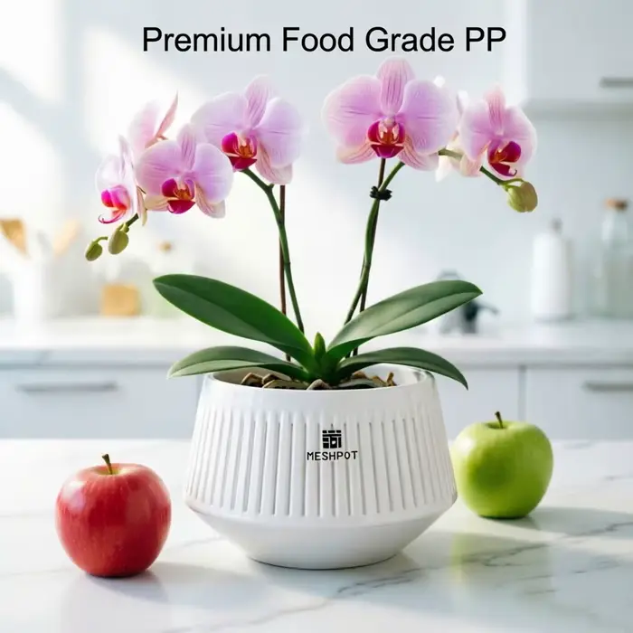 Pots d'orchidées en maille avec trous
