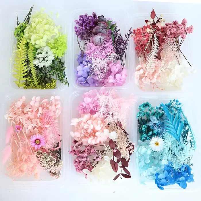 Boîte de fleurs séchées
