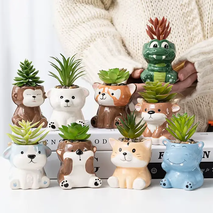 Pot de fleurs charnu mignon de dessin animé Amazon