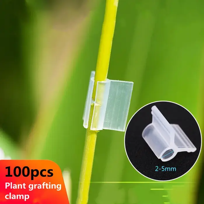 Clips de greffage de plantes