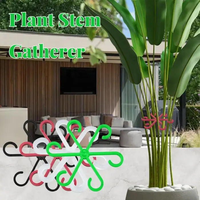Supports de tiges pour plantes d'intérieur