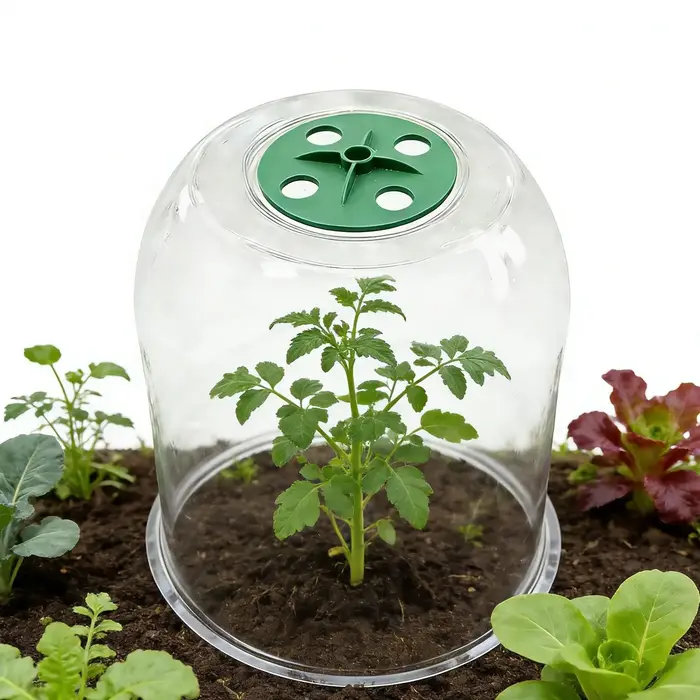 Housses de protection transparentes pour plantes d'hiver