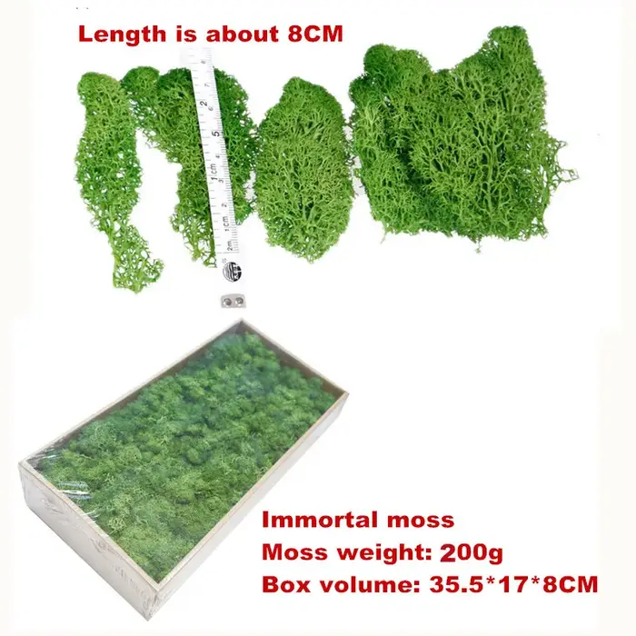 Mousse naturelle verte plante artificielle 200g
