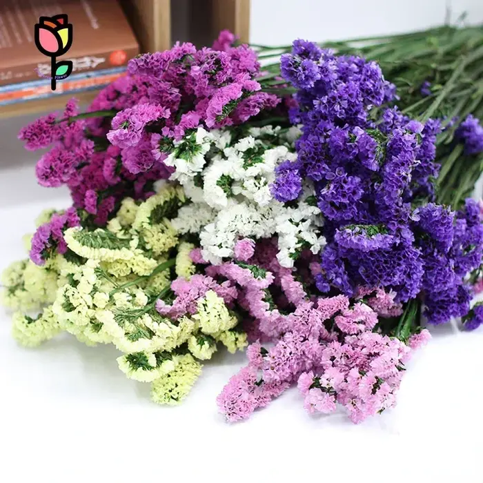 120g fleurs séchées naturelles oubliez-moi pas Bouquets décoration de mariage