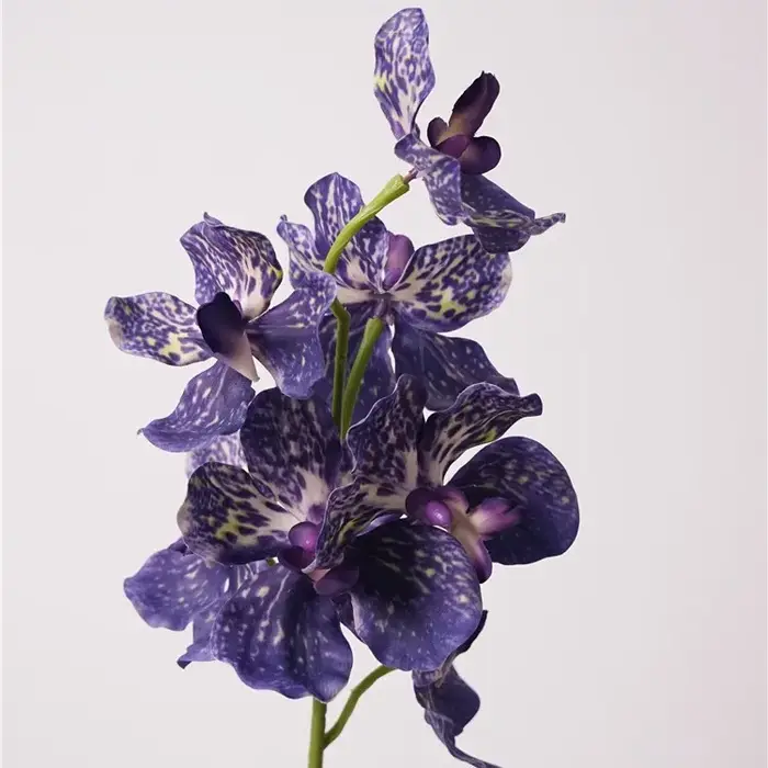 Fleur d'orchidée Vanda artificielle hydratante