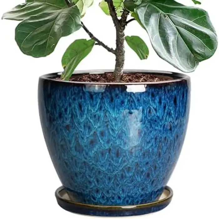 Ensemble de pots de fleurs