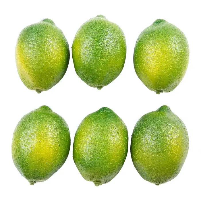 Citrons Artificiels Polyvalents