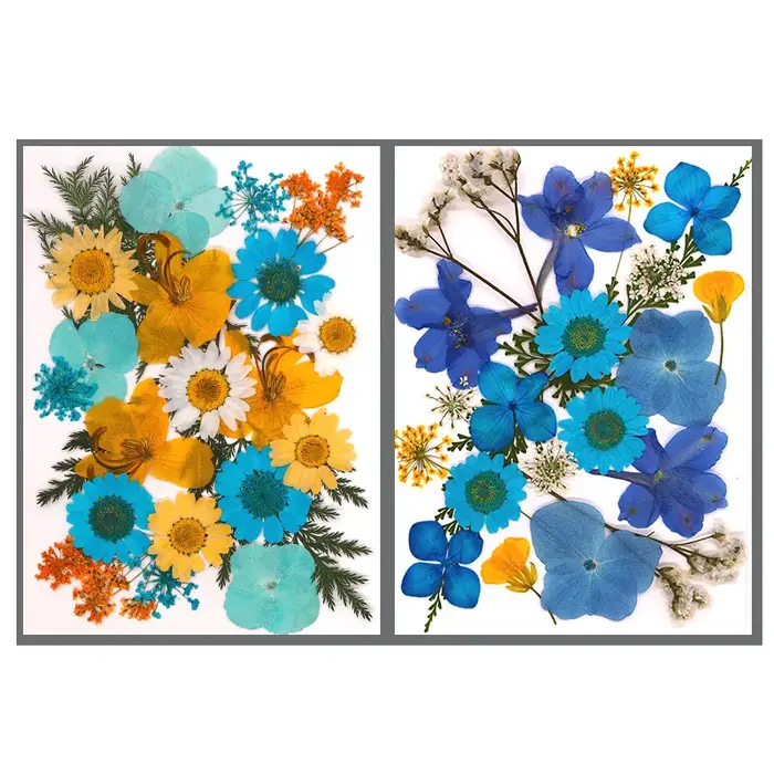 Fleur séchée pour bricolage