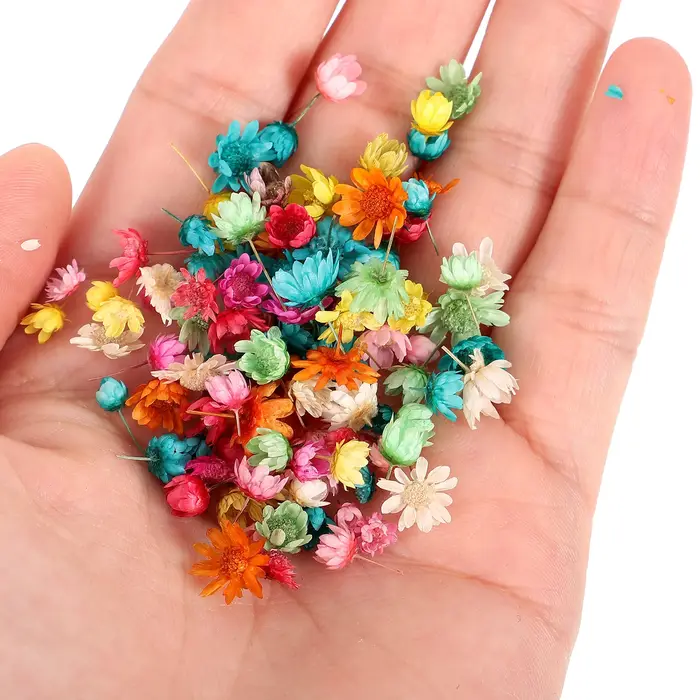 1 sac de fleurs séchées pour bricolage, artisanat en résine, décorations de coque de téléphone, maté