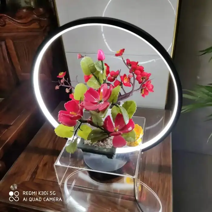 Lampe annulaire pour plantes, luminaire décoratif d'intérieur pour couloir de restaurant, salon, aqu