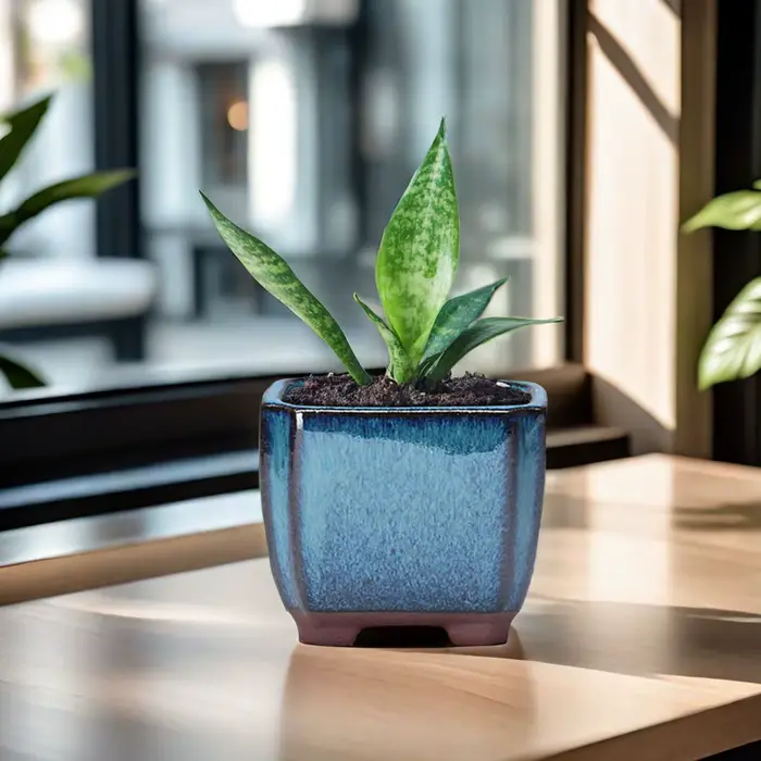 Pot de fleur succulent en céramique avec évent