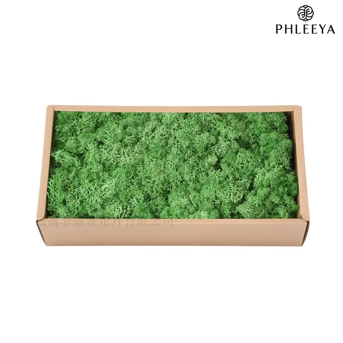 Plante verte artificielle, fausse fleur immortelle, herbe de mousse pour la maison, salon, mur décor