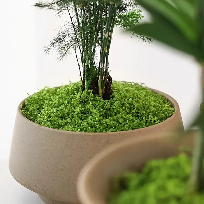 Mousse artificielle de simulation de micro paysage pour plantes en pot
