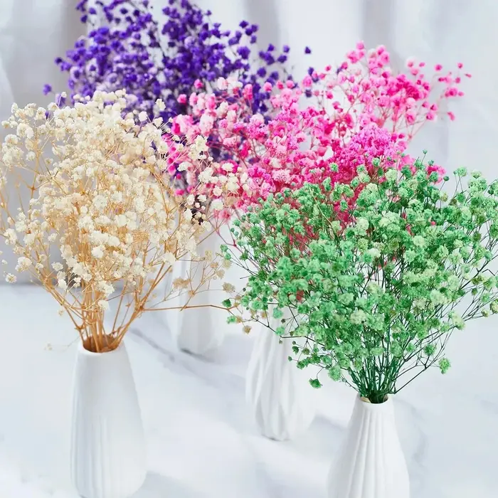 100g fleurs séchées souffle de bébé