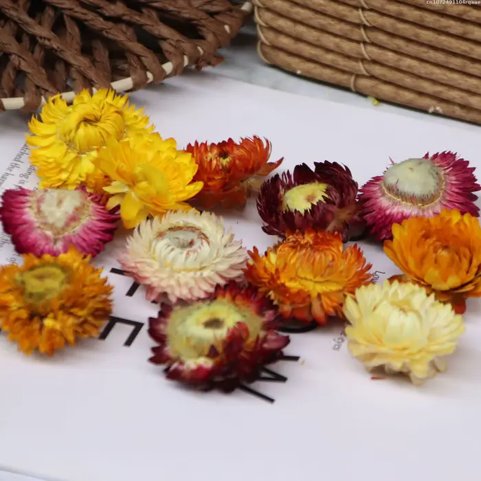 Qualité tournesol marguerite fleur séchée bricolage Epoxy résine moule maison décoration murale pail