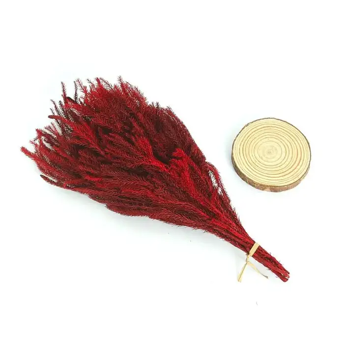 Lot de 2 branches de fleurs préservées | Branche de fleur Lycopodium japonicum pour Arrangement floral