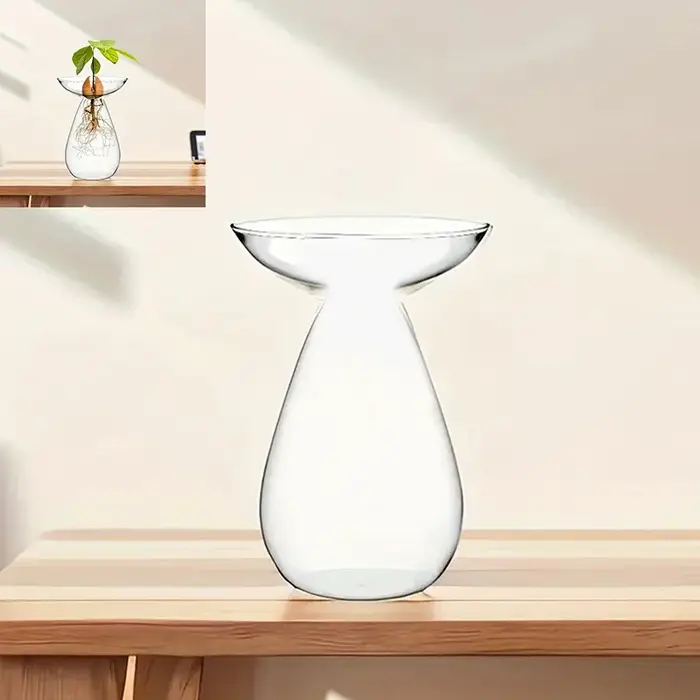 Vase en verre coloré en forme d'avocat - Jardinière hydroponique transparente pour la germination de