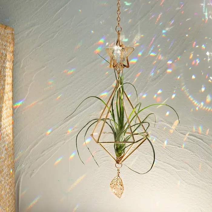 Attrape-soleil de jardin suspendu en or, support pour plantes à Air Tillandsia, présentoir de fougèr