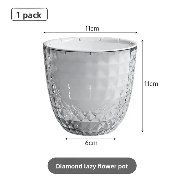 Jardinière paresseuse en plastique Transparent pour radis vert, jardinière à Absorption d'eau automa