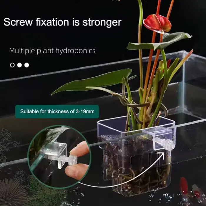 Bulles de poisson Aquarium eau herbe tasse plusieurs plantes hydroponique hydroponique plantation pa