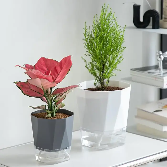 Pot de fleurs auto-arrosant avec réservoir d'eau latéral transparent