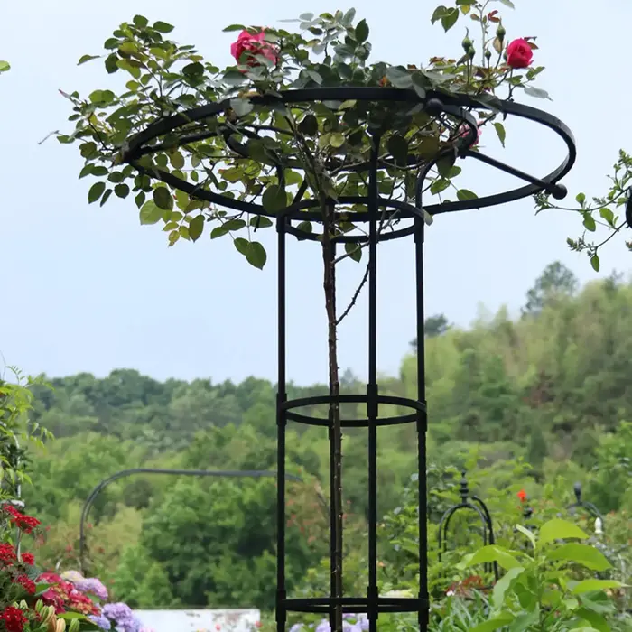 1 pièce Treillis de jardin en forme de parapluie pour plantes grimpantes