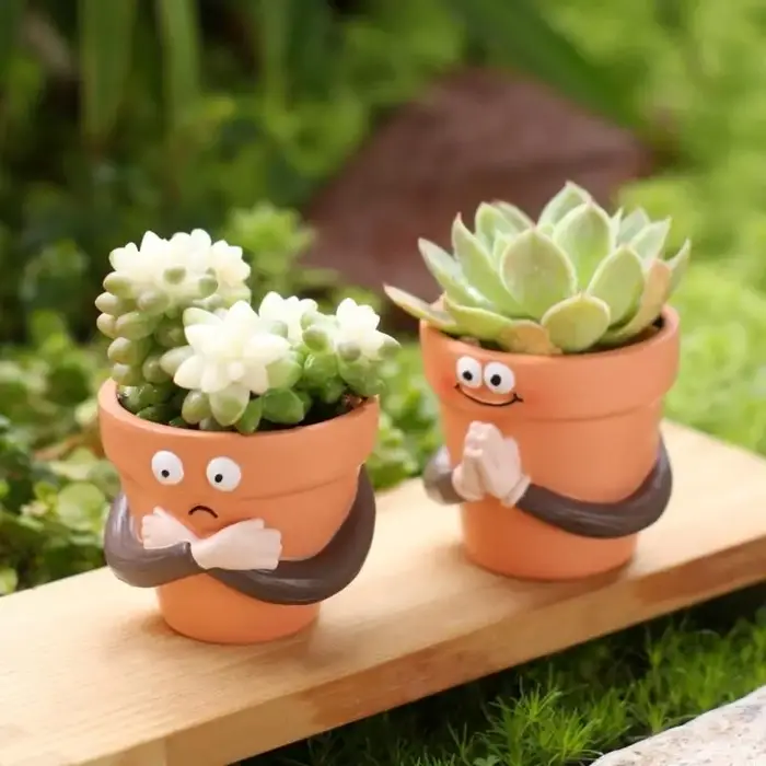Pots jardinière à main en résine, drôles, avec visages expressifs, Pot fleur Unique pour plantes suc