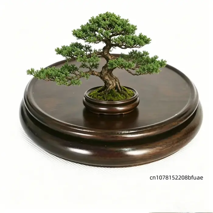 Support de Plante Rond Simple en Bois Massif