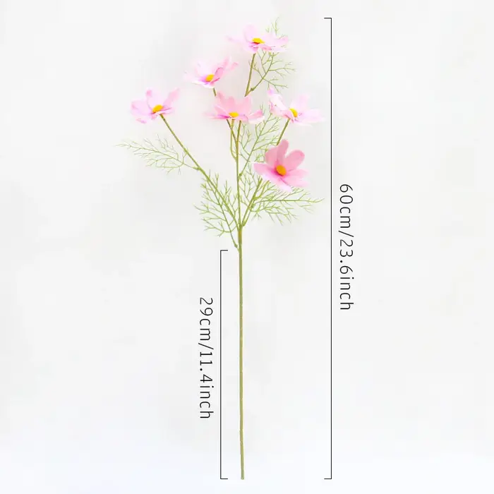 Fleur Cosmos Gesang Tournesols