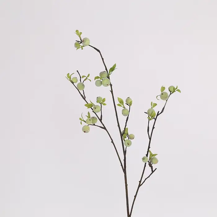 Branche de fleurs de baies pour la décoration de la maison