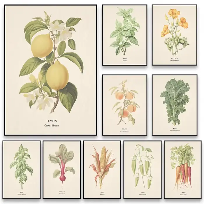 Affiche imprimée botanique