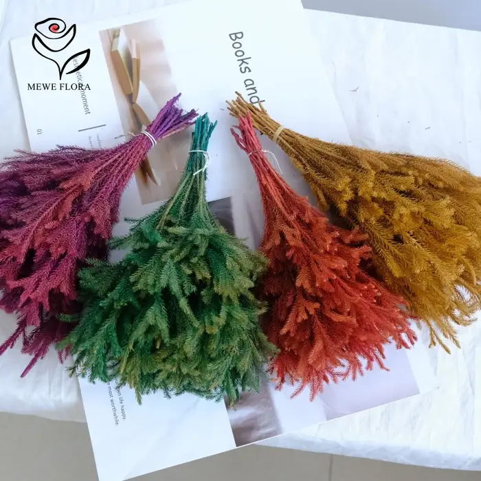 Lycopodium naturel séché pour la décoration de Noël