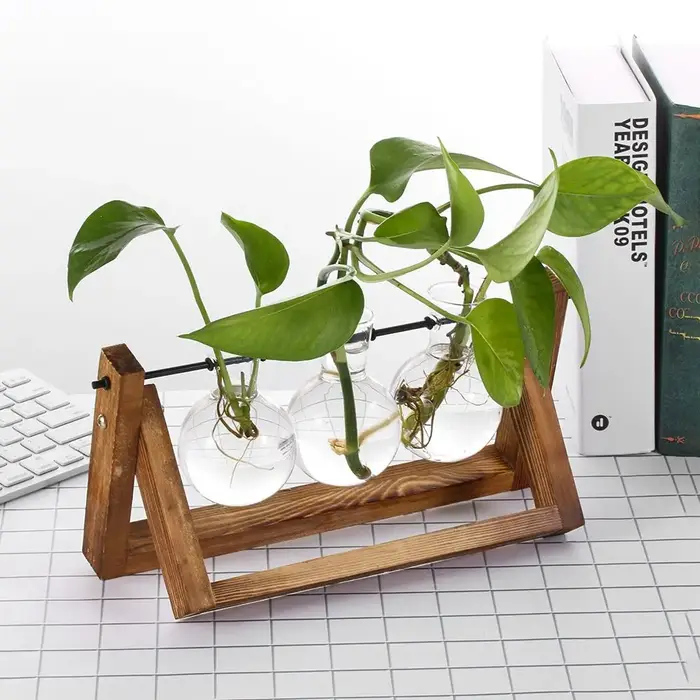 Pot de fleurs en verre avec cadre en bois