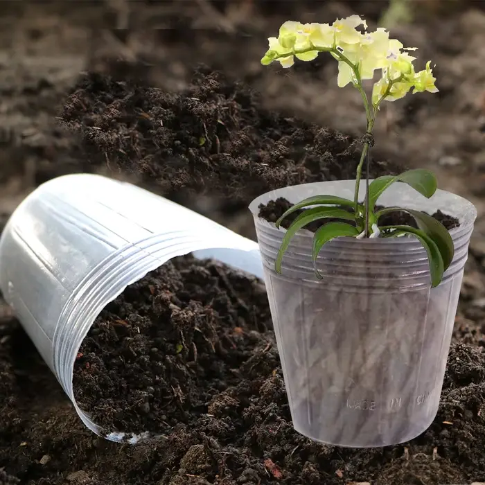 Pot de pépinière d'orchidée transparent réutilisable, 10 pièces, gobelets de Nutrition pour culture 