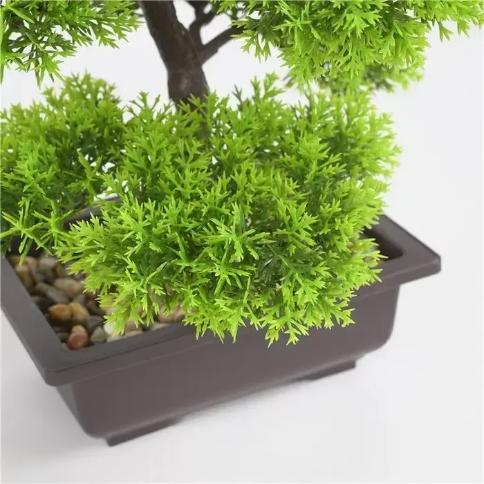 Plantes artificielles de pin bonsaï
