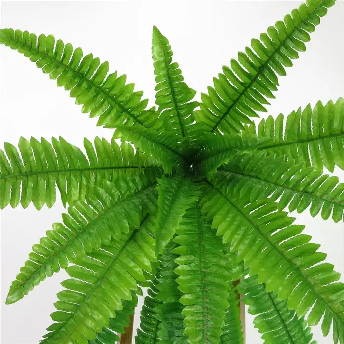 Plantes murales suspendues 73-115cm