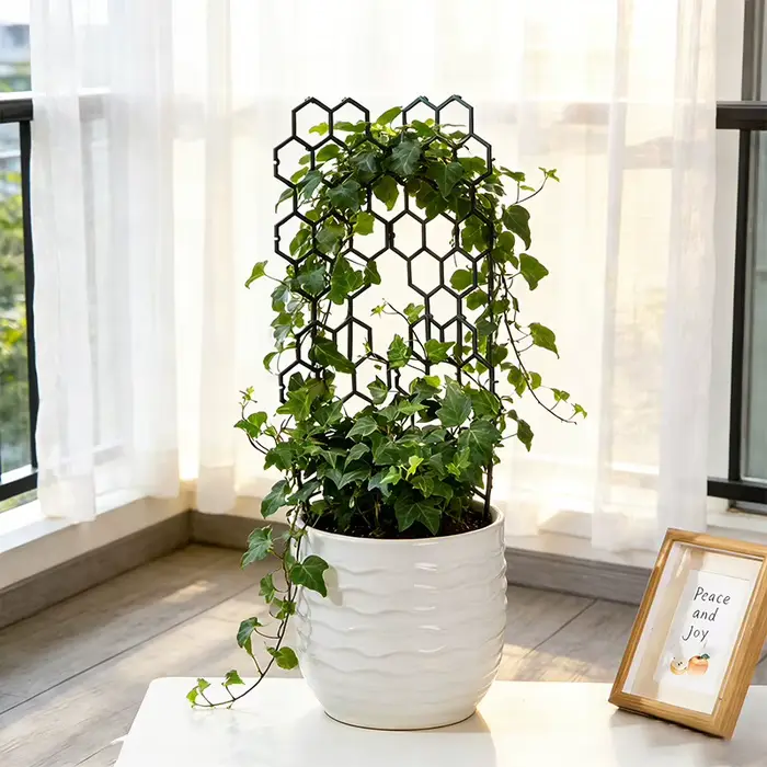 Support pour Plantes Grimpantes pour Balcon