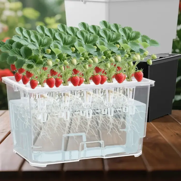 Système de surveillance de la croissance des plantes pour boîtes de plantation aquatiques sur comptoirs