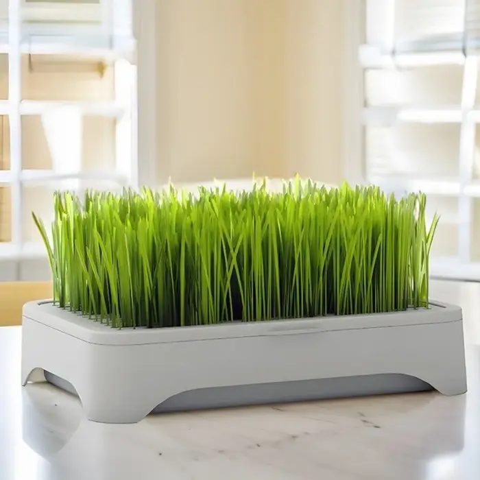 Pot de culture pour herbe à chat en plastique