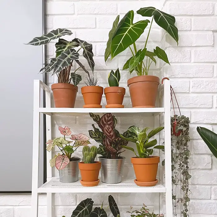 Poterie en terre cuite avec trou de proximité